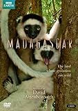 Madagascar [DVD]