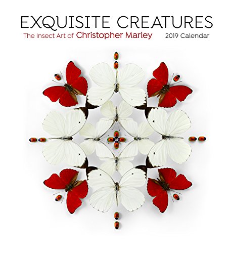 Preisvergleich Produktbild Exquisite Creatures the Insect Art of Christopher Marley 201