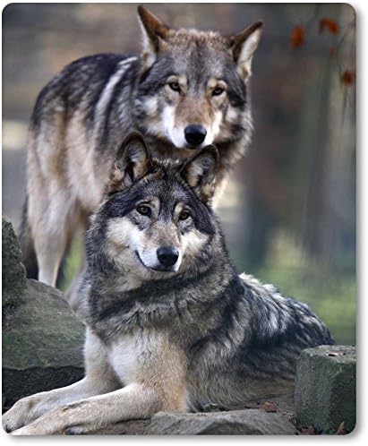 Mousepad/Mouse Pad - Wolf Wolf Animals Gray Two Juxtaposed [09]
