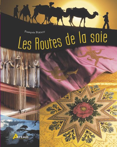 couverture de : Les Routes de la soie