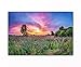Produktbild PB ART - Blumenwiese als Kunstdruck auf Leinwand und Holzkeilrahmen - Beste Qualität, handgefertigt in Deutschland! (40x60cm)