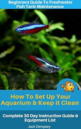 beginner fish tank