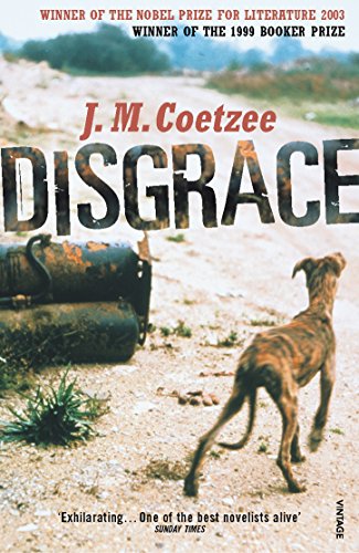 Disgrace (English Edition)