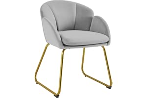 Yaheetech Silla de Comedor Moderno Tapizada Terciopelo con Apoyabrazos y Respaldo Ergonómico Gris