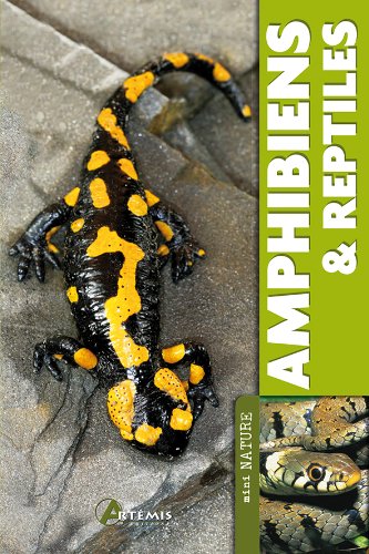 couverture de : Amphibiens & reptiles