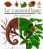 Image de Le camouflage