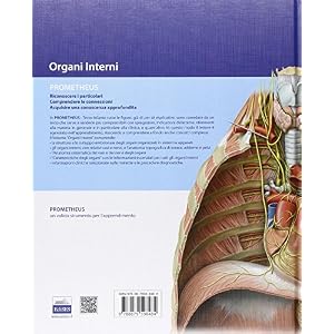 Prometheus. Testo atlante di anatomia. Organi inte