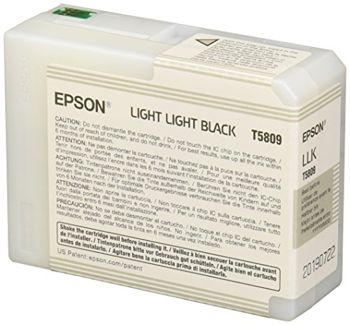 Epson T5809 Cartouche d'encre d'origine 1 x noir clair