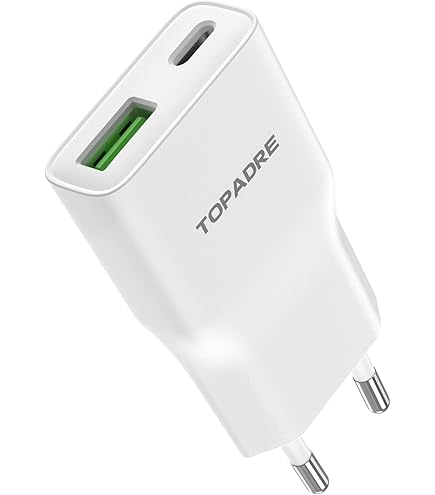 LINDY 73410 - Caricatore USB di tipo C, 20 W, compatto | WhichOne