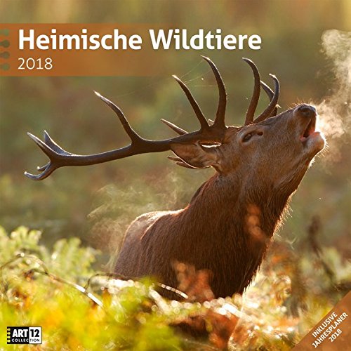 Heimische Wildtiere 30x30 2018