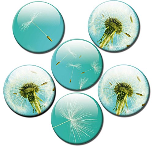 Magnettafel Pusteblume – Himmlische Design Magnettafel 60×40 cm – Pinnwand Memoboard mit Motiv: Pusteblume inkl. 6 Magnete mit Pusteblumenmotiven – Original Magnetpinnwand GUMA Magneticum - 4