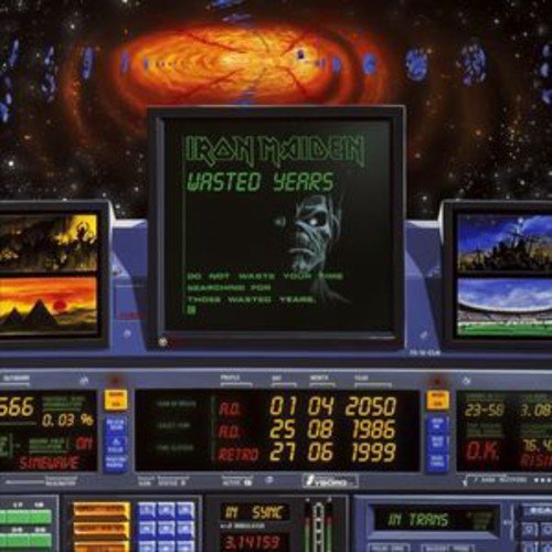 Wasted Years [Vinilo]