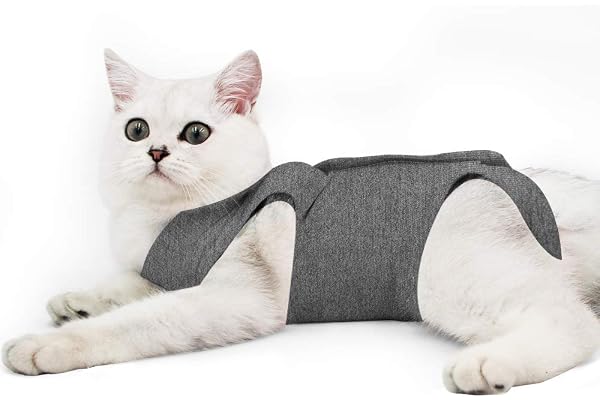 Dotoner Cat Professionnel Restauration Convient pour abdominaux Collerette des plaies ou des Maladies de la Peau, Alternative pour Chiens et Chats, après la Chirurgie Porter