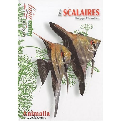 Les Scalaires Les Scalaires