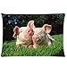 Produktbild Decorative Standard Pillow Case Animals funny weasel s pig pair grass lie 20"*26" One Side