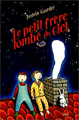 couverture de : Le petit fr&egrave;re tomb&eacute; du ciel