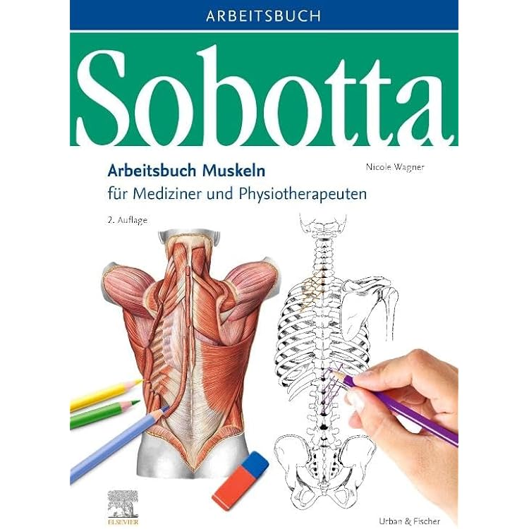 Sobotta Malbuch Anatomie : Kretz, Oliver: Amazon.de: Bücher