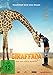Giraffada