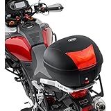 topcase vespa lx 50 Bewährtes Schließsystem mit einem gemeinsamen Schloss zum Öffnen und zur Abnahme von der Platte; Ersatzteile auf Anfrage auch einzeln zu bekommen