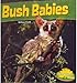 Produktbild Bush Babies (Up a Tree)