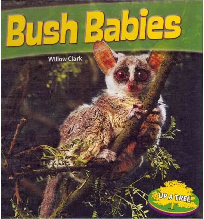 Preisvergleich Produktbild Bush Babies (Up a Tree)
