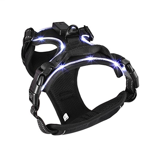 Harnais LED sans Traction pour Petits Moyens Chiens, Harnais Souple Réglable, Harnais pour Animaux de Compagni