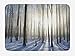 Produktbild Trsdshorts Woodland Bath Mat, Wintertime Forest on a December Morning Snowy Sunshine Shadows Trunk, Plush Bathroom Decor Mat with Non Slip Backing, 23.6 x 15.7 Inches, Pale Yellow Bluegrey