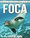 Produktbild Foca: Libro de imágenes asombrosas y datos curiosos sobre los Foca para niños (Serie Acuérdate de mí)