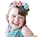 Rosennie Baby Infant Toddler Headband Bow Flower Hair Band Headwear (Multicolour)