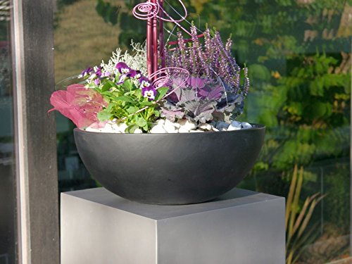 Pflanzschale NOVA aus Fiberglas in schwarz-anthrazit, Blumenschale, Pflanzgefäße, Dekoschale, Pflanzkübel (Ø34 x H12cm) - 2