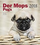 Der Mopskalender 2018: Das Original von Knesebeck by 