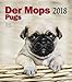 Der Mopskalender 2018: Das Original von Knesebeck by 