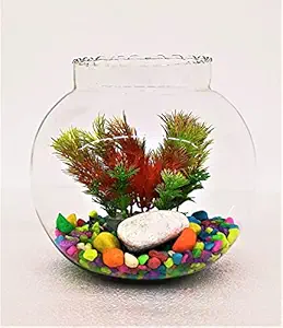GlassArt Glass Fish Bowl (10 x 10 inch, Clear)