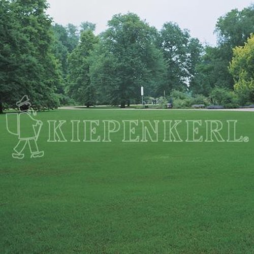 Kiepenkerl 4000159801066 RSM 2.2.2 Gebrauchsrasen extreme Trockenlagen 10 kg
