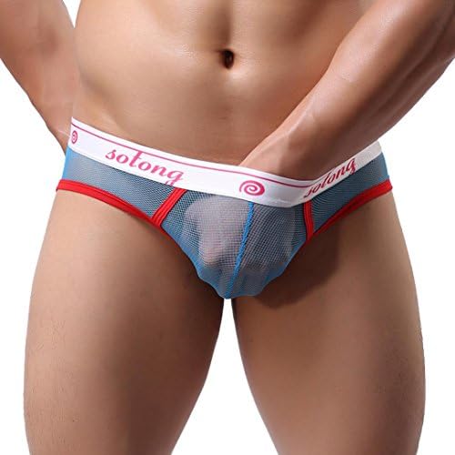 Men's Mesh Sheer Boxer Briefs, Sexy Trunks Underwear Shorts Bulge Pouch Soft Underpants (Blue, XL)