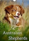 Australian Shepherds (Wandkalender 2019 DIN A4 hoch): 13 wunderschöne Australian Shepherd Motive für das ganze Jahr (Monatskalender, 14 Seiten ) (CALVENDO Tiere) by 