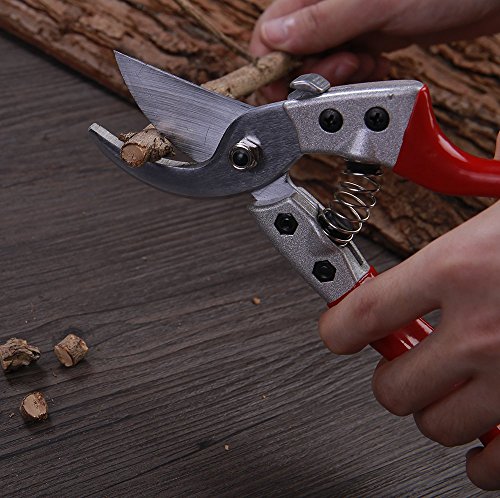 Gartenschere – Smaier Hand Schneide Schere zum Schneiden von Hecken, Unkraut, Rasen und zum Gras Schneiden Rosenschere ideal für professionelle Gartenarbeiten – Ergonomischer Griff - 8