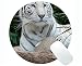 Produktbild Runde Mausunterlage personalisiert, Tier-weißer Bengal-Tiger-runde Mausunterlage mit genähtem Rand