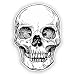 Produktbild 2 x Totenkopf Vinyl Aufkleber Reise Gepäck Horror Scary # 7453 - 15cm/150mm Wide
