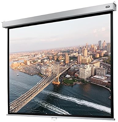 celexon Écran pour écoles, présentations Professionnelles et Home Cinéma Manuel Pro Plus - 220x165cm - 4:3 - Gain 1,2 - Full HD - 3D