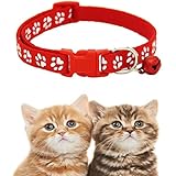 Beifed Haustier Halsband mit Glöckchen Katze Katzenhalsband Kleinhundehalsband Sicherheit Verstellbare Nylon
