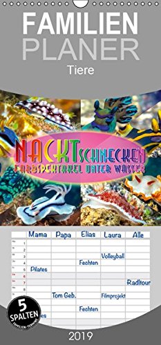 Nacktschnecken, Farbspektakel unter Wasser - Familienplaner hoch (Wandkalender 2019 , 21 cm x 45 cm, hoch): Nacktschnecken sind bei einem Tauchgang ... (Monatskalender, 14 Seiten ) (CALVENDO Tiere)