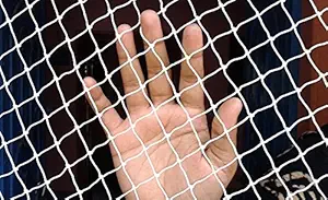 AntiBird Net Balcony, Windows, AC Protection Pigeon Net (4 X 16 Foot, White)