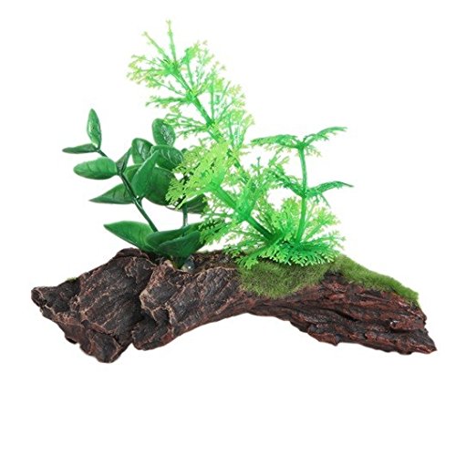 Preisvergleich Produktbild Spiegel Holz Moos 14 x 4 x 12