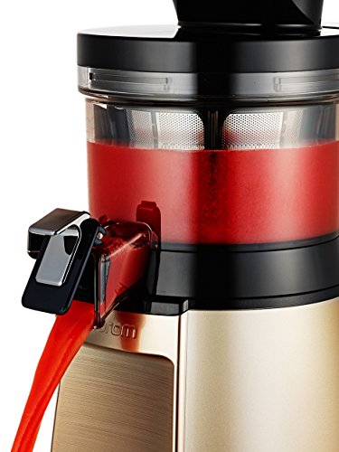 Hurom HT-IBE14 Slow Juicer HT Serie, 2 nd Generation gold, 43 Upm, Modell 2017 Smoothiemaker, 150 W - 3