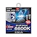 Produktbild Carmate Giga Halogenlampe blau FOCUS 6600 K H4 60/55 W BD22