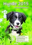 Wochenkalender - Hunde 2015 by 