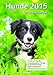 Wochenkalender - Hunde 2015 by 