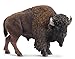 Price comparison product image Schleich American Bison