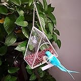 Adecuado para ventanas en el hogar, o donde haya soportes para colgar en el exterior, atrayendo una gran variedad de aves. Ideal para aves silvestres.